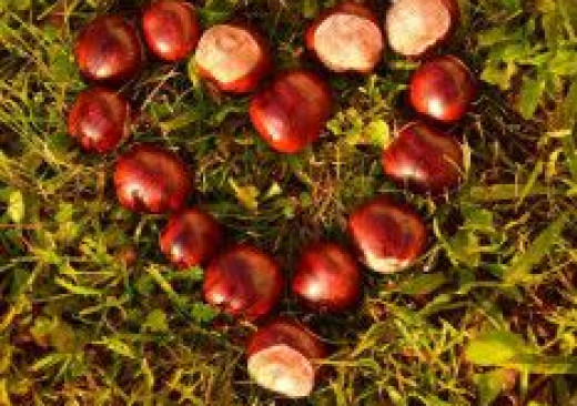 Společné akce v Kaštánku